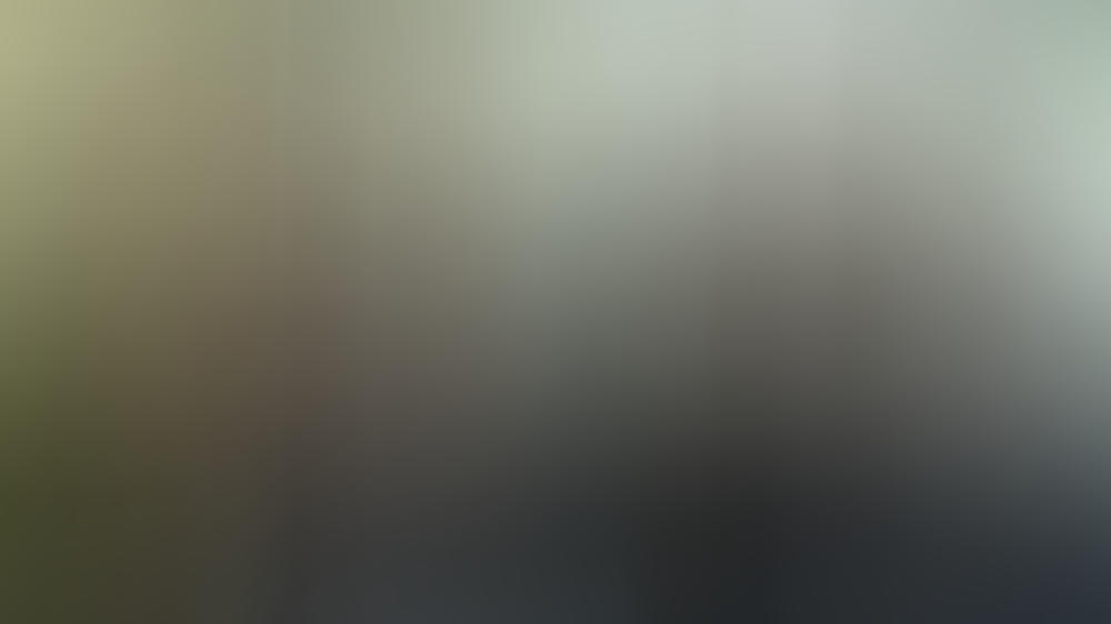 Ppt partnervermittlung