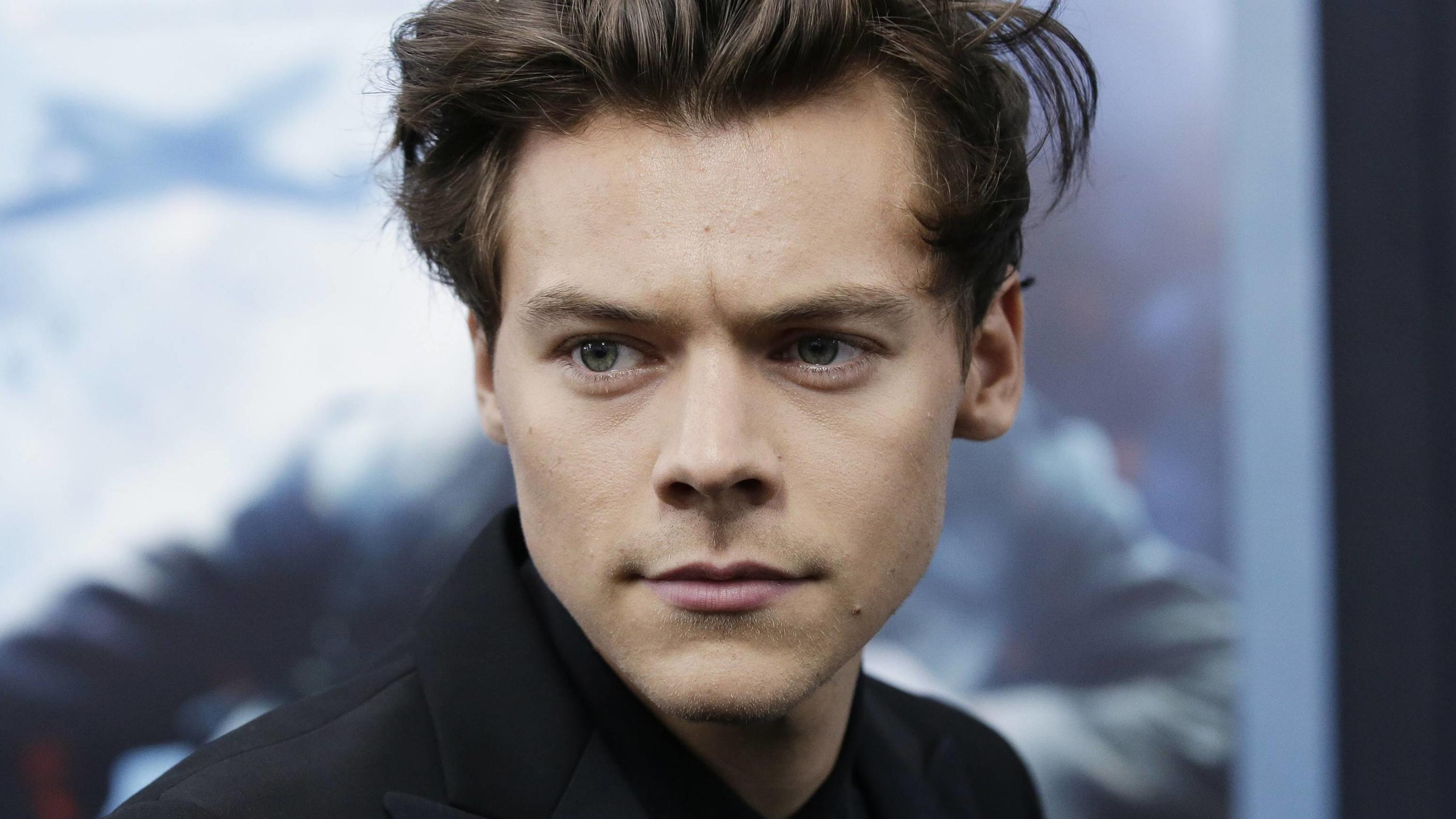 Porno Schnauzer 70er Look Jep Das Ist Tatsachlich Boyband Star Harry Styles