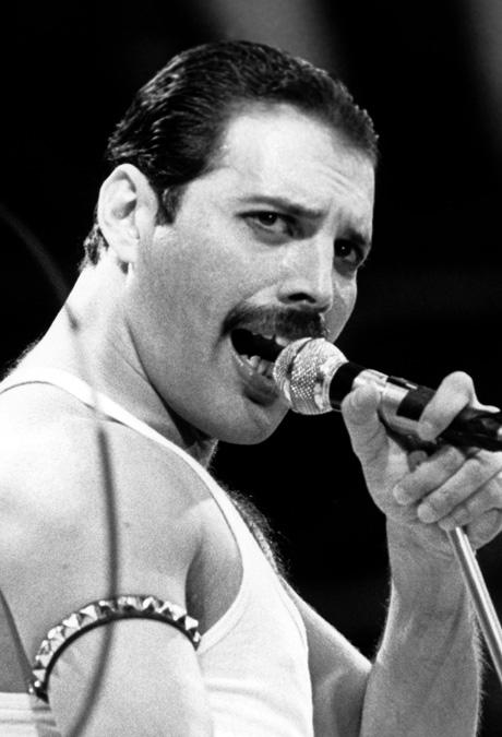 Alle Infos & News zu Freddie Mercury | VIP.de