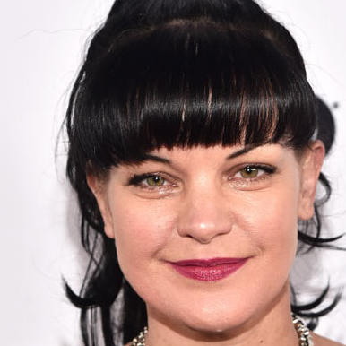 alle infos news zu pauley perrette vip de