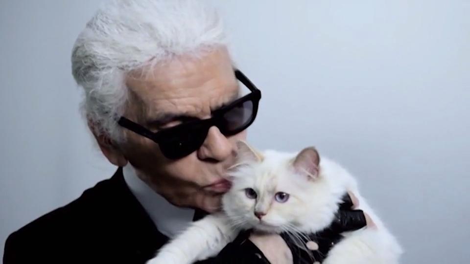 Karl Lagerfeld: Wo ist seine Katze Choupette?