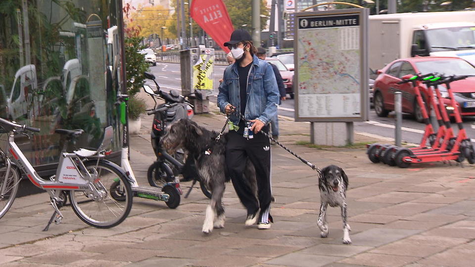 Tom spaziert mit den Hunden in Berlin