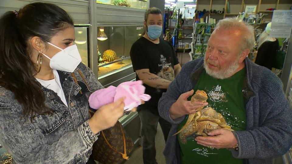 Tanja Tischewitsch macht auf Kardashian in der Zoohandlung
