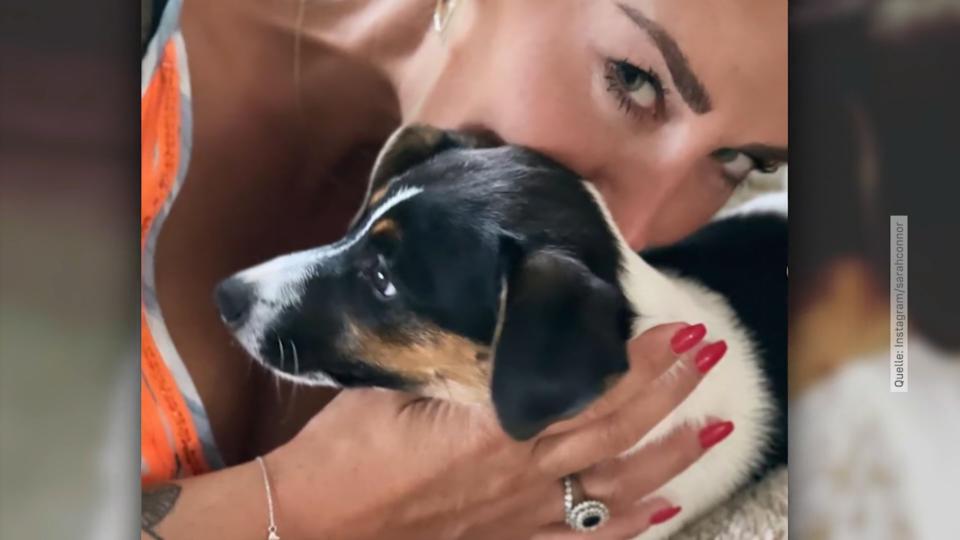 Tierischer Familienzuwachs bei Sarah Connor
