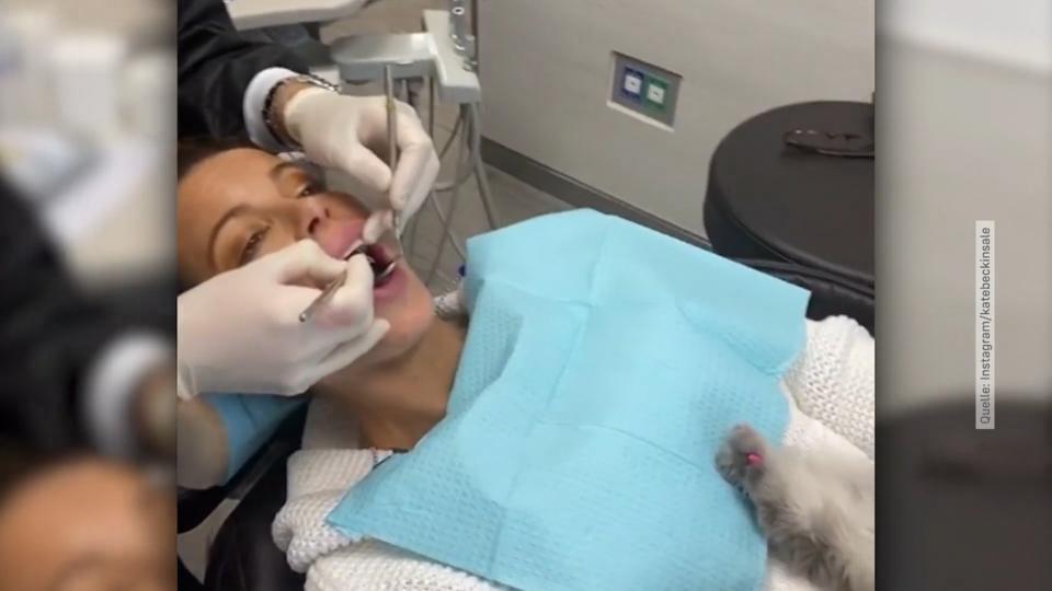 Kate Beckinsale nimmt Kater mit zum Zahnarzt