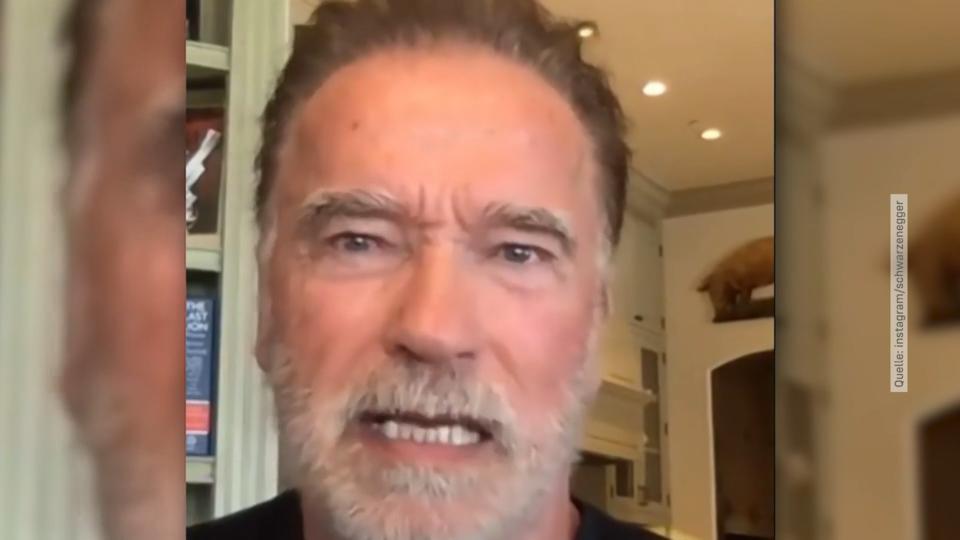 Arnold Schwarzenegger hat die Nase voll