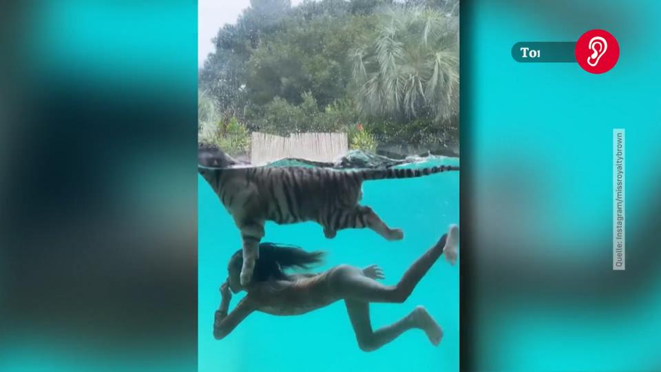 Chris Browns kleine Tochter schwimmt mit Tigerbaby