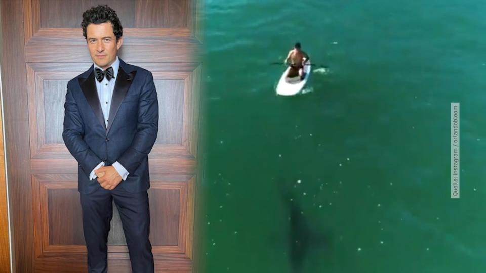 Orlando Bloom paddelt mit weißem Hai