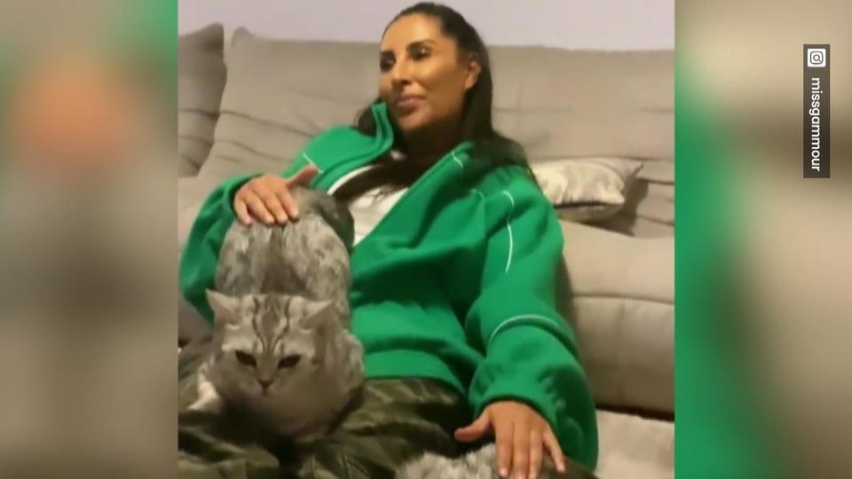 Insta-Follower bodyshamen Sennas Katzen!