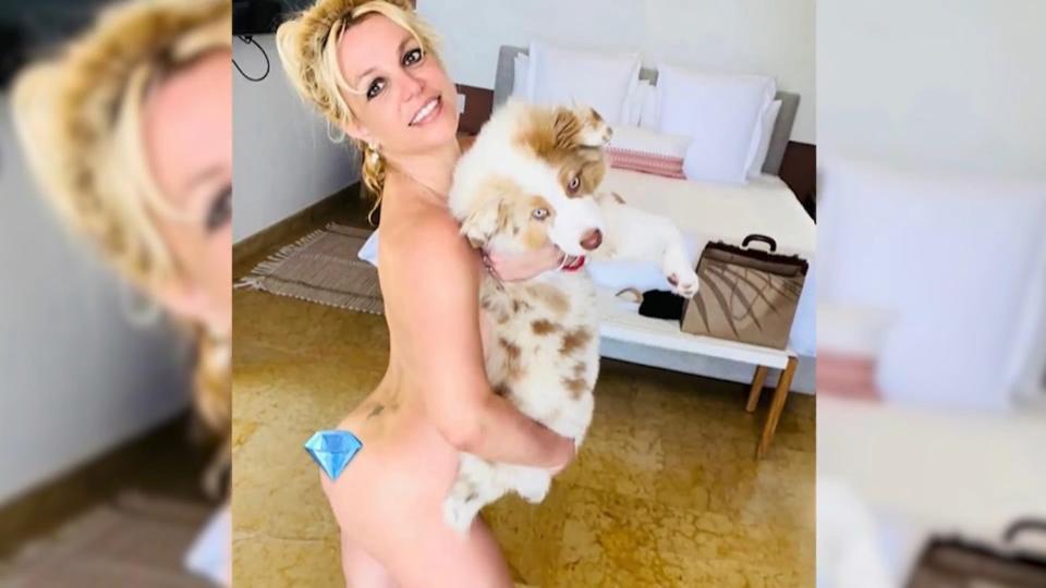 Britney Spears ist auf den Hund gekommen