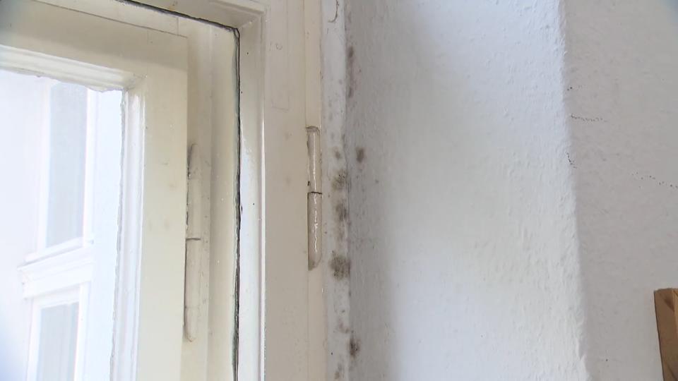 Schimmel an der Wand: Dieses Mittel hilft am besten