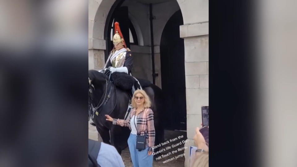 Leibwächter der Queen flippt aus - und schreit Touristin an