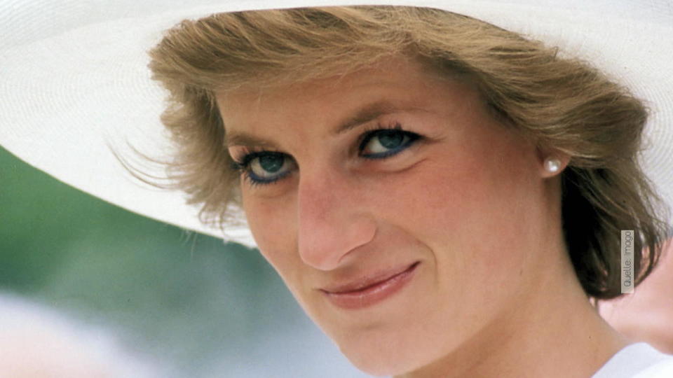 Wer hat Schuld an Lady Dianas Tod?