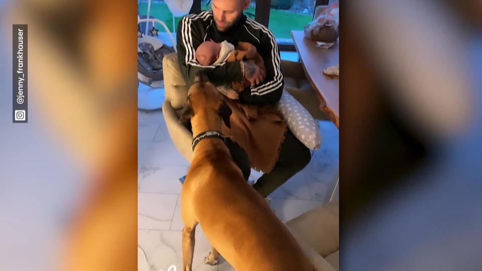 Jenny Frankhausers Hunde lernen ihren Sohn kennen