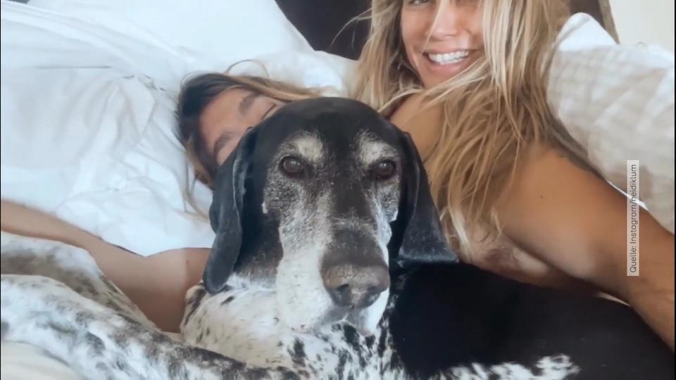 Heidi Klum & Tom Kaulitz trauern um Hund Capper