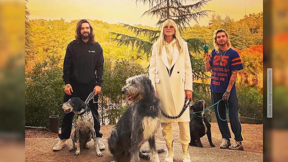 Wurden Heidi Klums Hunde ermordet?