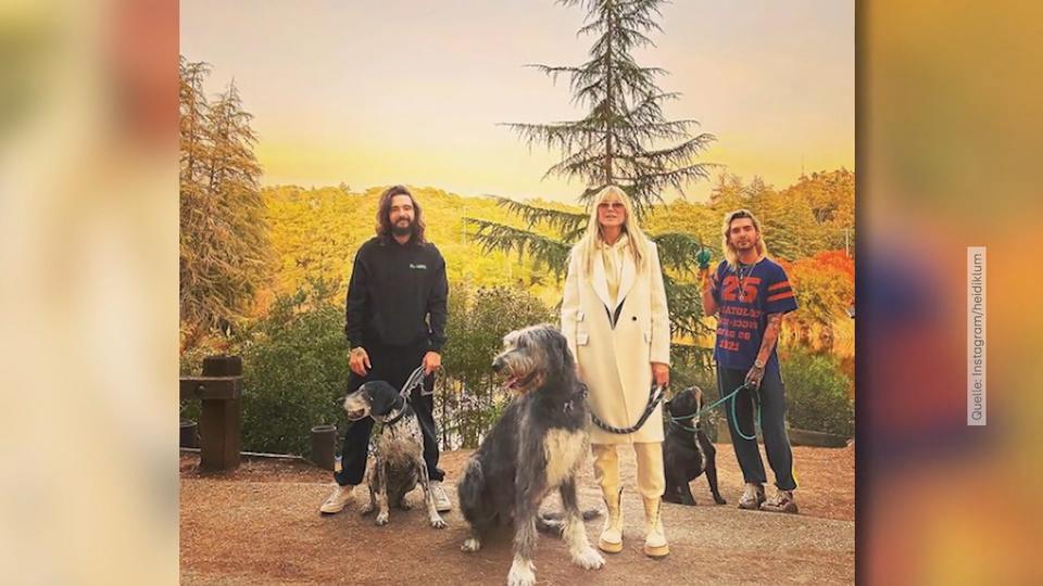 Wurden Heidi Klums Hunde umgebracht?