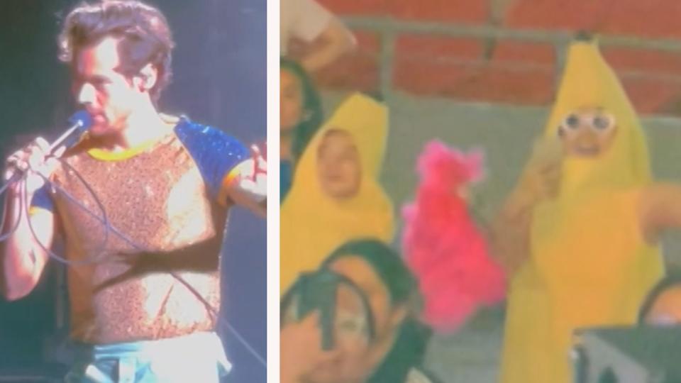 Harry Styles performt "Bananensong" für kostümierte Besucher